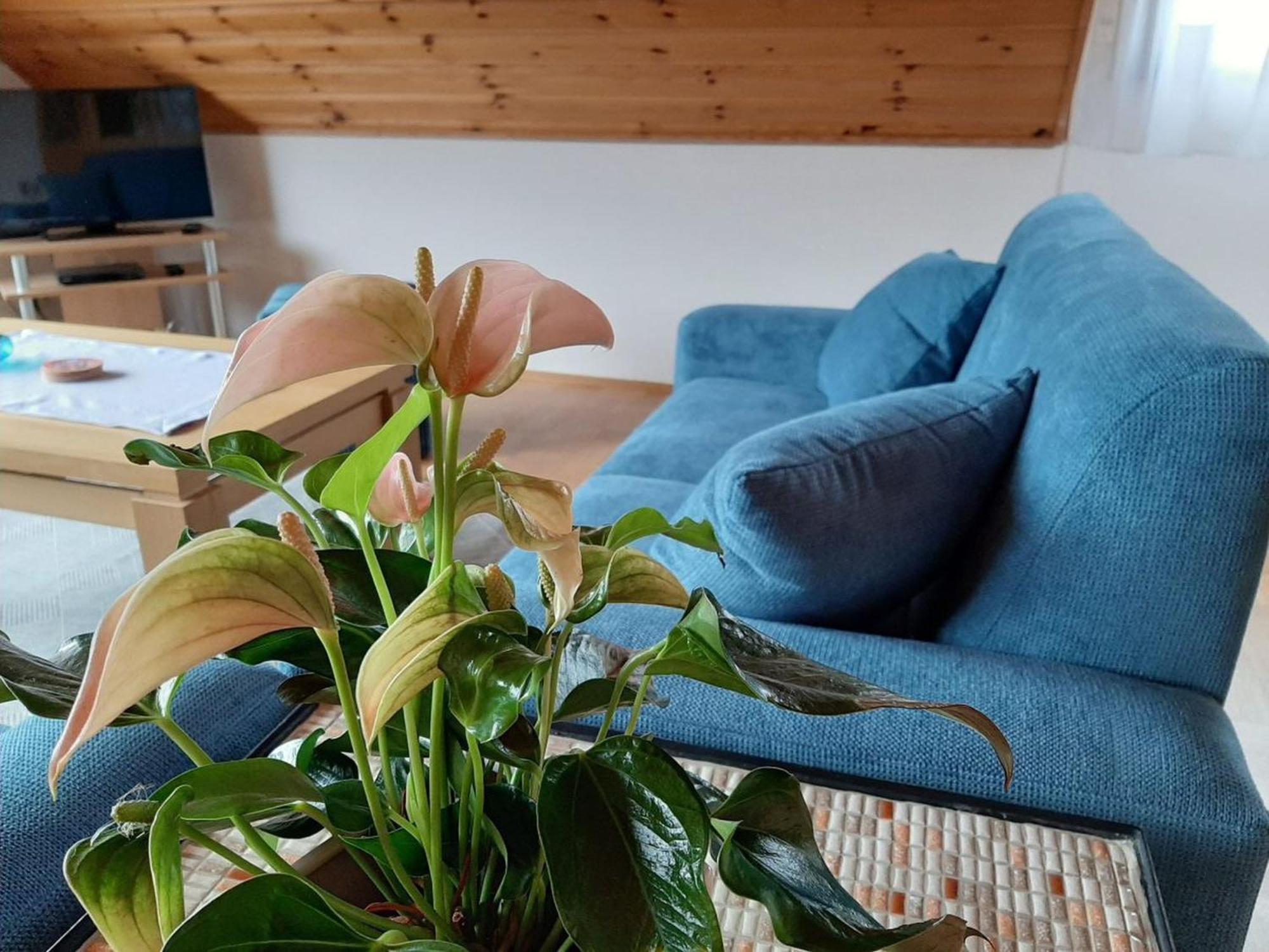 Ferienwohnung Am Patenberg Finnentrop Ngoại thất bức ảnh